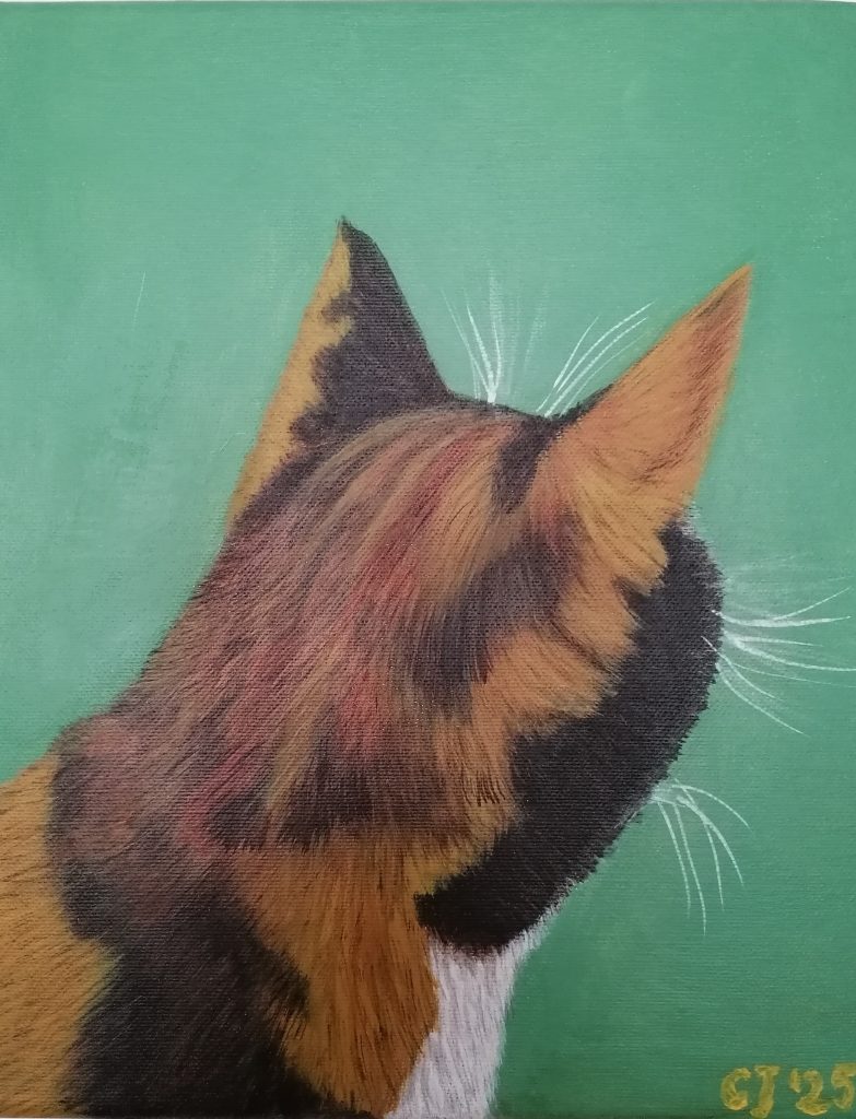 Poes
